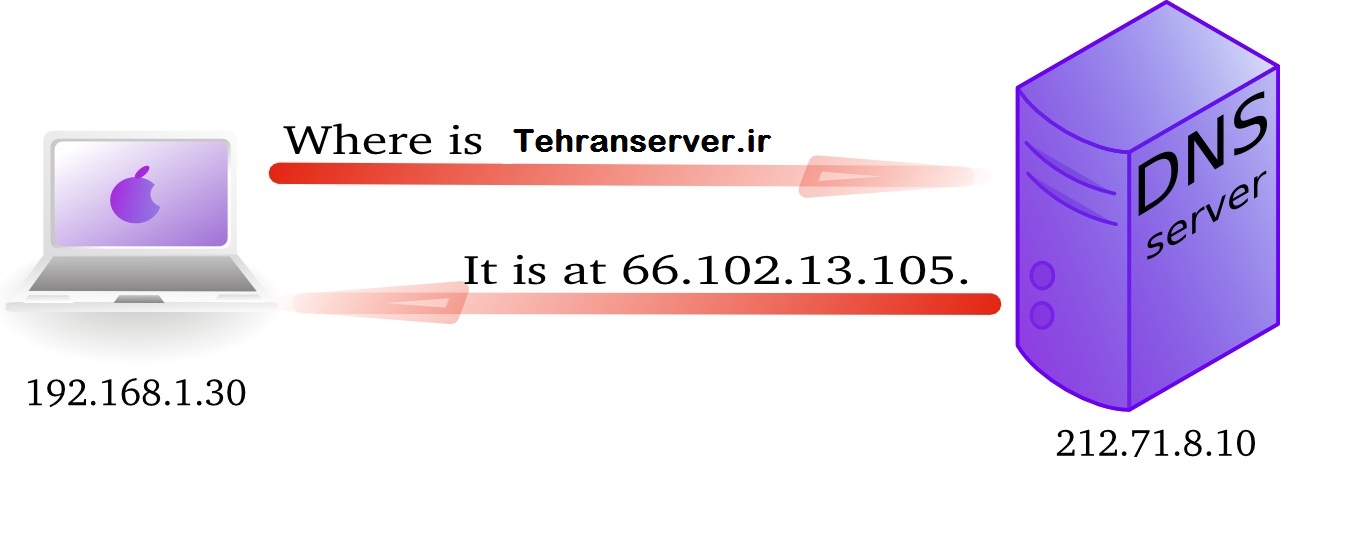 url و فرایند dns