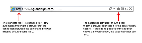 گواهینامه SSL