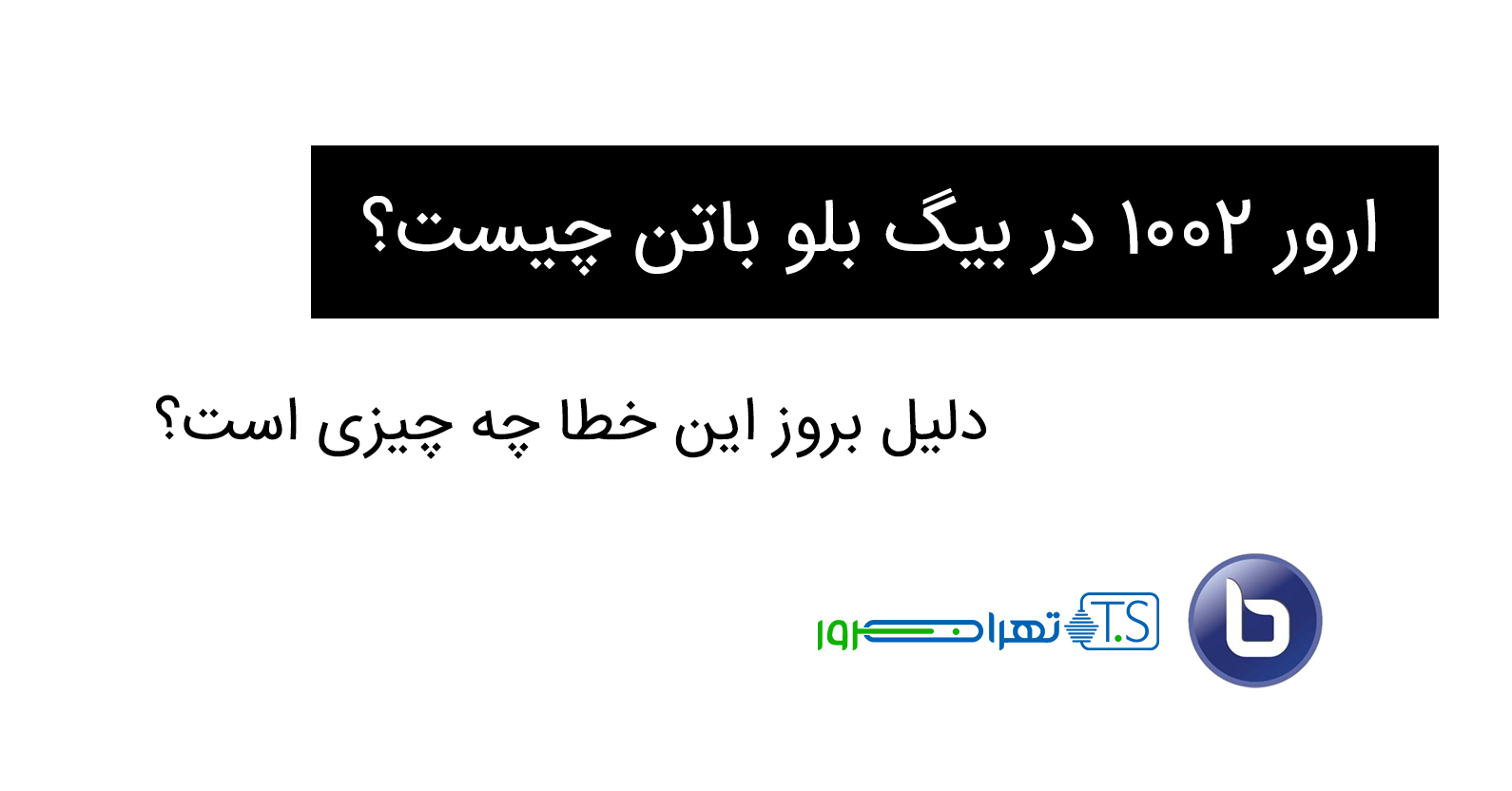 ارور ۱۰۰۲ در بیگ بلو باتن چیست؟