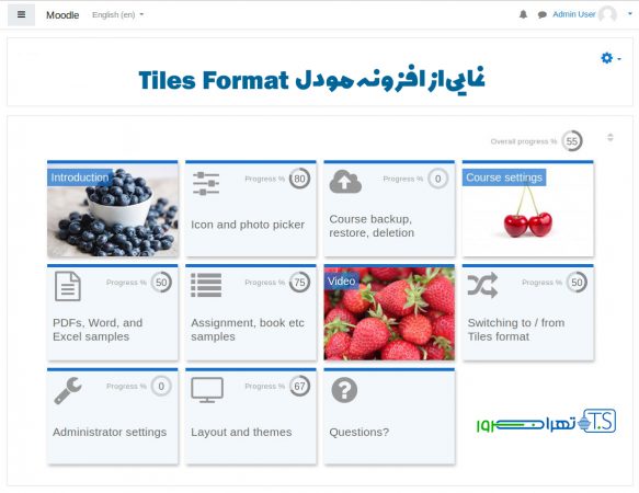 افزونه مودل Tiles Format