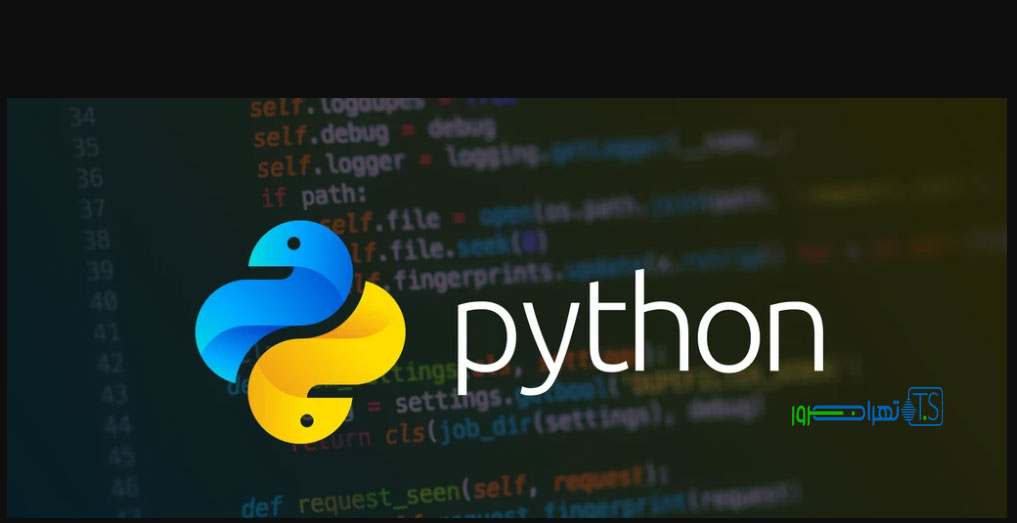 هاست پایتون چیست؟ و چه کاربردی دارد؟