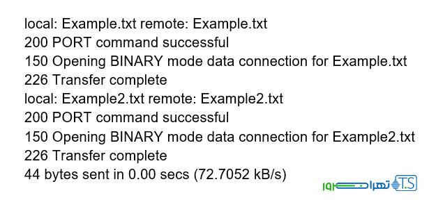 بکاپ گیری از سرور با پروتکل FTP