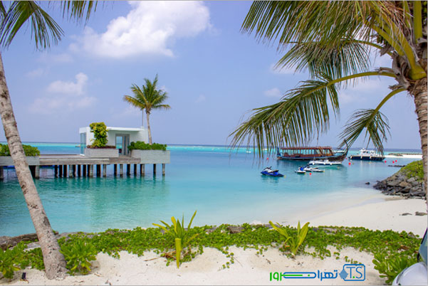 بهترین افزونه بهینه ساز تصویر وردپرس برای فایل های JPG