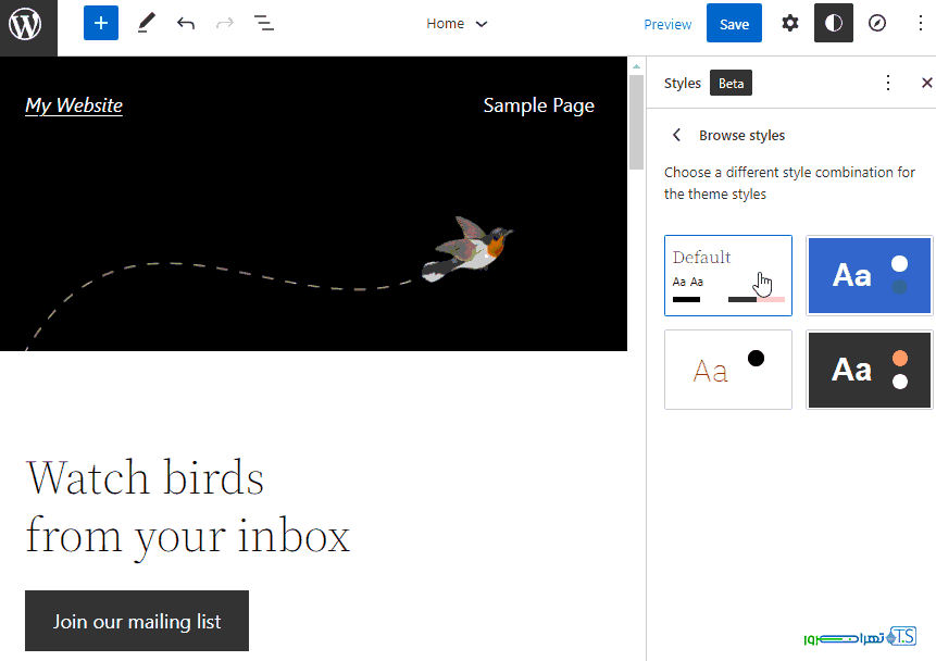 تغییر استایل در وردپرس 6.0